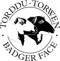 Badger Face Welsh Mountain Sheep Society